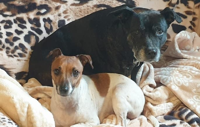 Star & Ella — Unknown