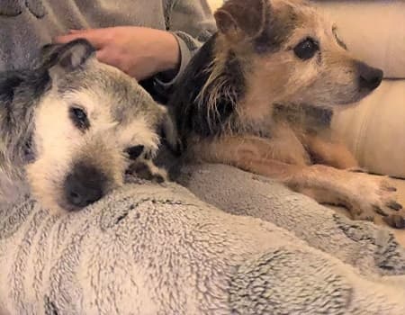 Jim and Dean — Unknown