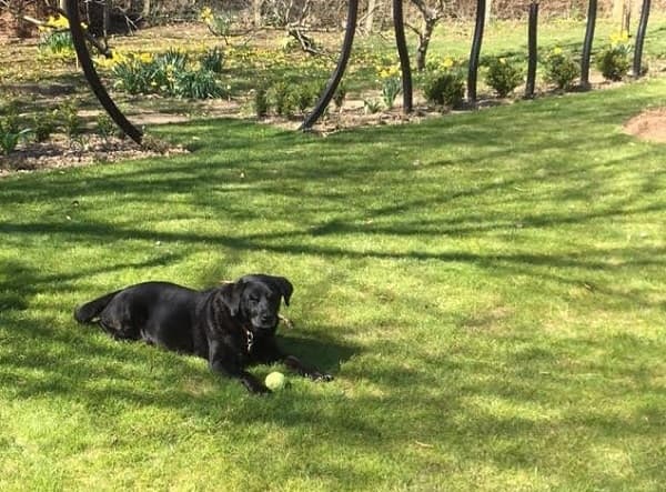 Sasha the Smasher! — Unknown