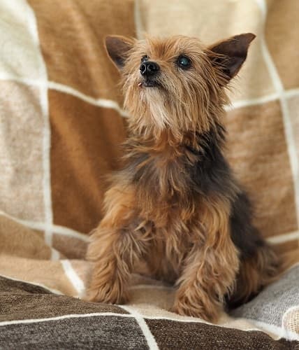 In Minty Condition! — Unknown