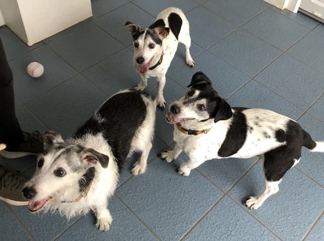 Sam, Jack & Max — Unknown