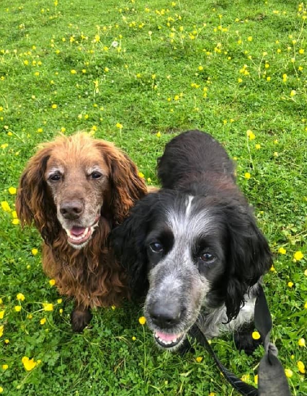 Lucky & Lady — Unknown