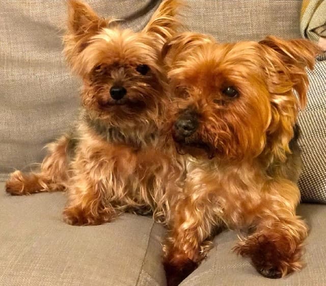 Buddy & Charlie — Unknown