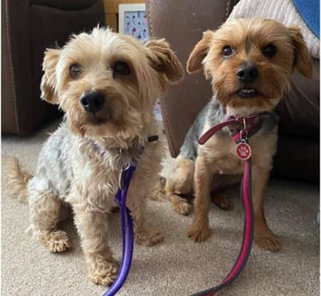 Cleo and Harvey — Unknown