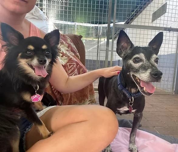 Ollie & Pippa — Unknown