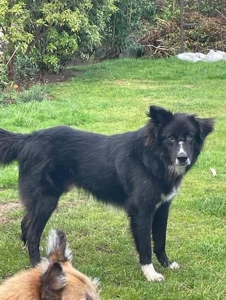 Blackjack — Unknown