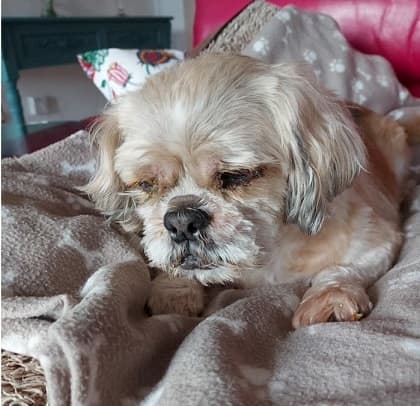 Granny Gemma — Unknown