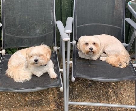 Oscar and Ruby — Unknown