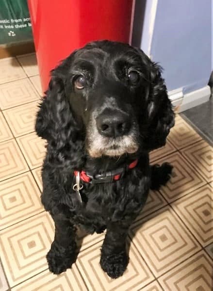 Cuddle monster Megan! — Unknown