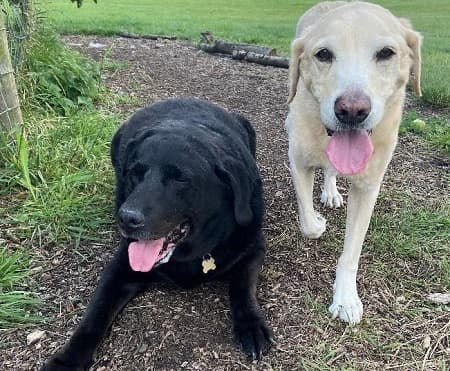 Jazz and Sam — Unknown