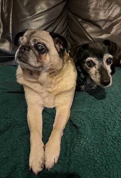 Mr Ted & Mrs Penny — Unknown