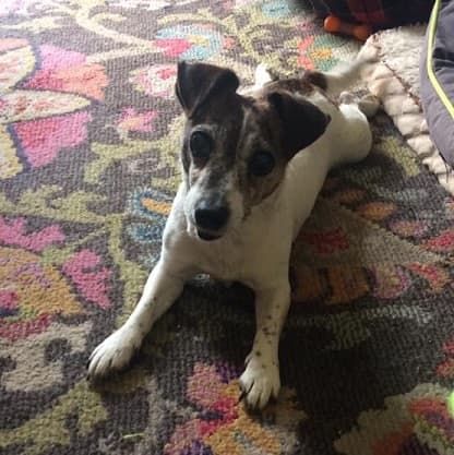 Teeny Tiny — Unknown