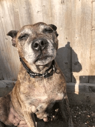 Regal Rachel — Unknown