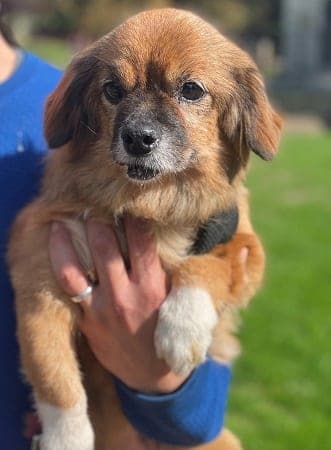 BearBear — Unknown