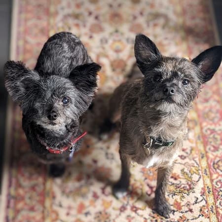 Dottie and Frankie — Unknown