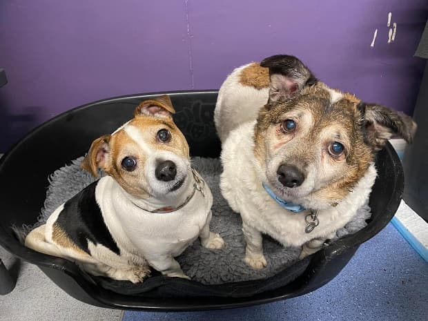 Monty & Suzy — Unknown