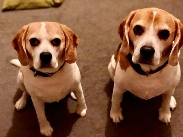 Sam & Jess — Unknown