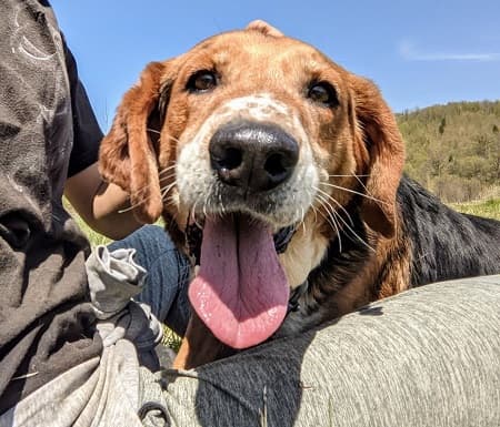 Valentino — Unknown