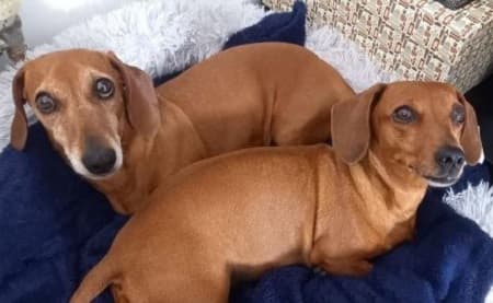 Ellie and Impey — Unknown