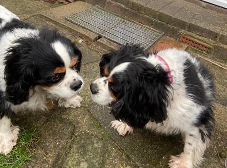 Penny and Betty — Unknown