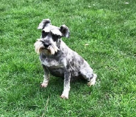 Alfie Moon — Unknown