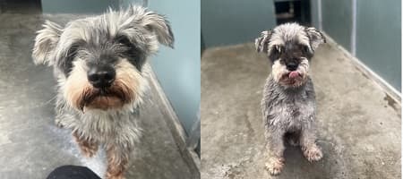 Bert and Ernie — Unknown