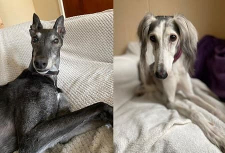 Eddie and Karma — Unknown