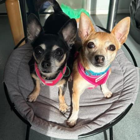 Holly & Evelyn — Unknown