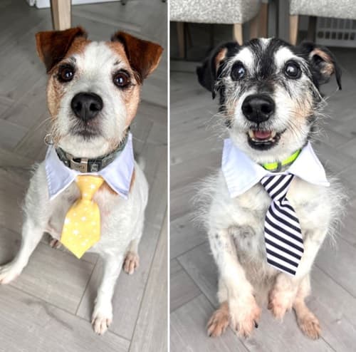 Ben & Max — Unknown