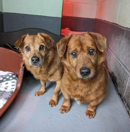 Jaffa & Terry — Unknown