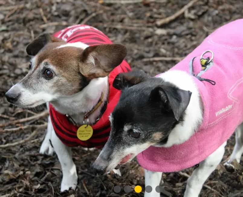 Lady & Sugar — Unknown