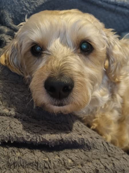 Storm, snuggler extraordinaire! — Unknown