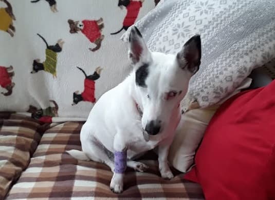 Charismatic Libby — Unknown