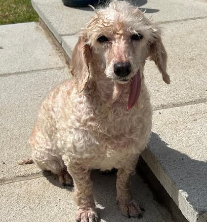 Samantha — Unknown