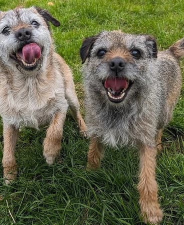 Oscar and Bracken — Unknown