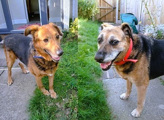 Holly & Lucky — Unknown