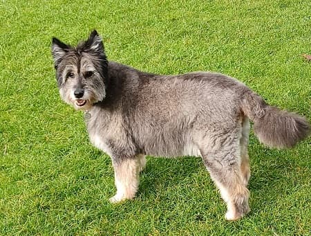 Silky Sophie — Unknown