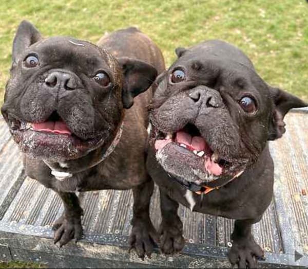 Pinky and Perky — Unknown