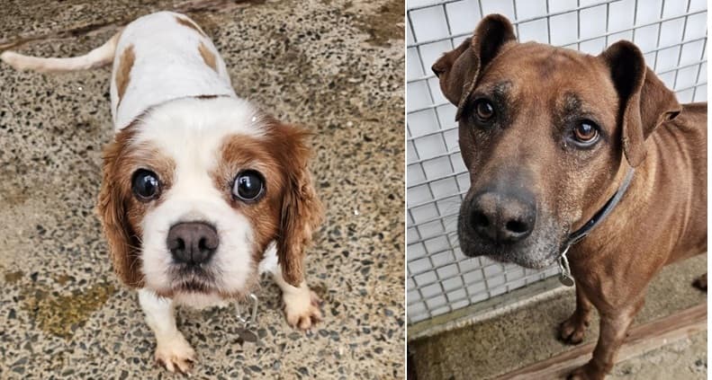 Jack and Molly — Unknown