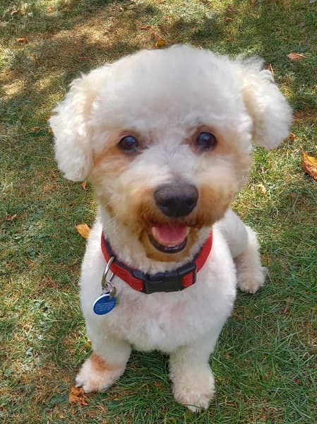 Super Snuggly Snowy — Unknown