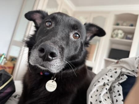 Annabelle — Unknown