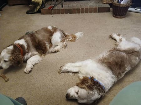 Moomin and Victoria — Unknown