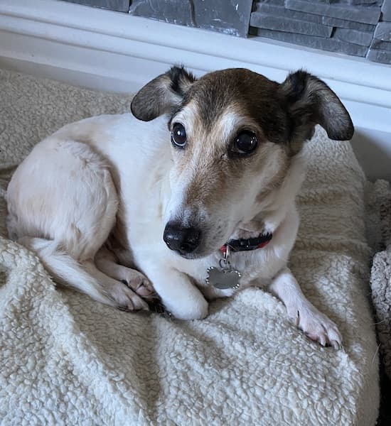 Wonderful Mr Waffles — Unknown