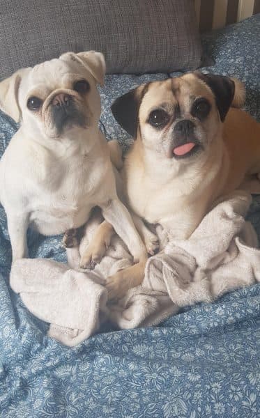 Bella and Ethel — Unknown