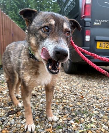 Kathleen — Unknown