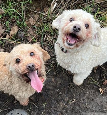 Dolly and Kenny — Unknown