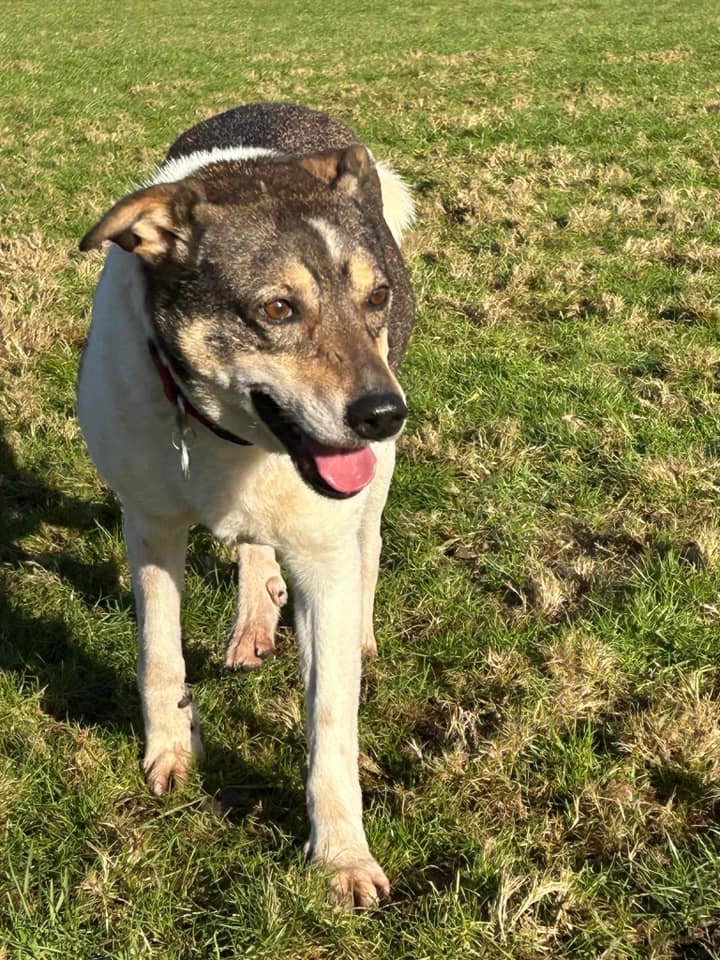 Benjamin — Unknown