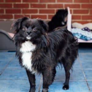 Dopey and Bashful photo 2