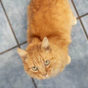 Marley and Gizmo photo 2