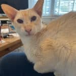 Ruby, Ruby, Ruby — Unknown